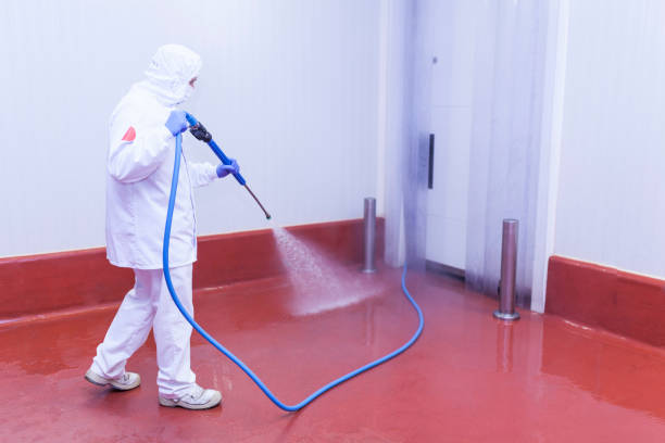 Best Paint Preparation  in Lucerne, CA